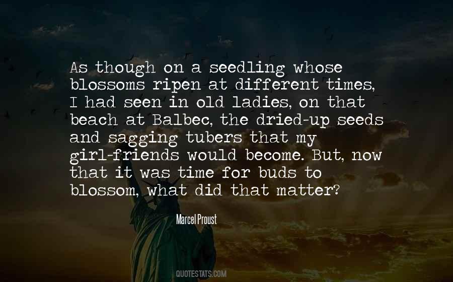 Having Fun In The Beach Quotes #34557