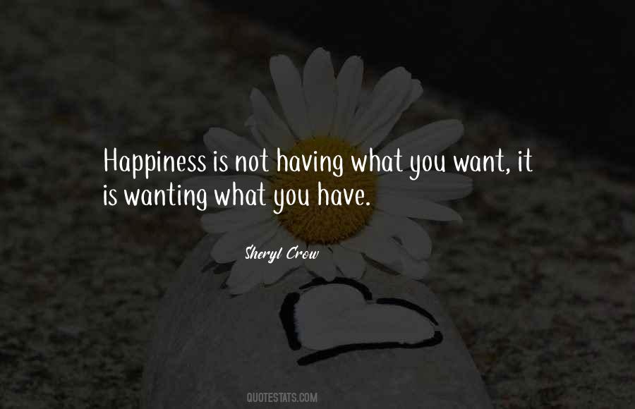 Having What You Want Quotes #1833813