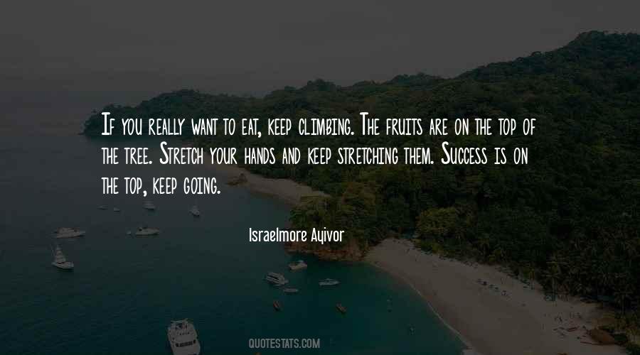 Quotes About Fruit Of Success #803060