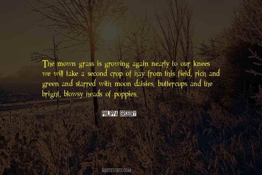 Hay Field Quotes #717348