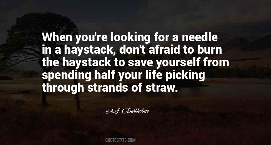 Haystack Quotes #754991