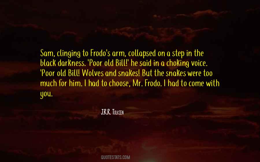 Quotes About Frodo And The Ring #173822