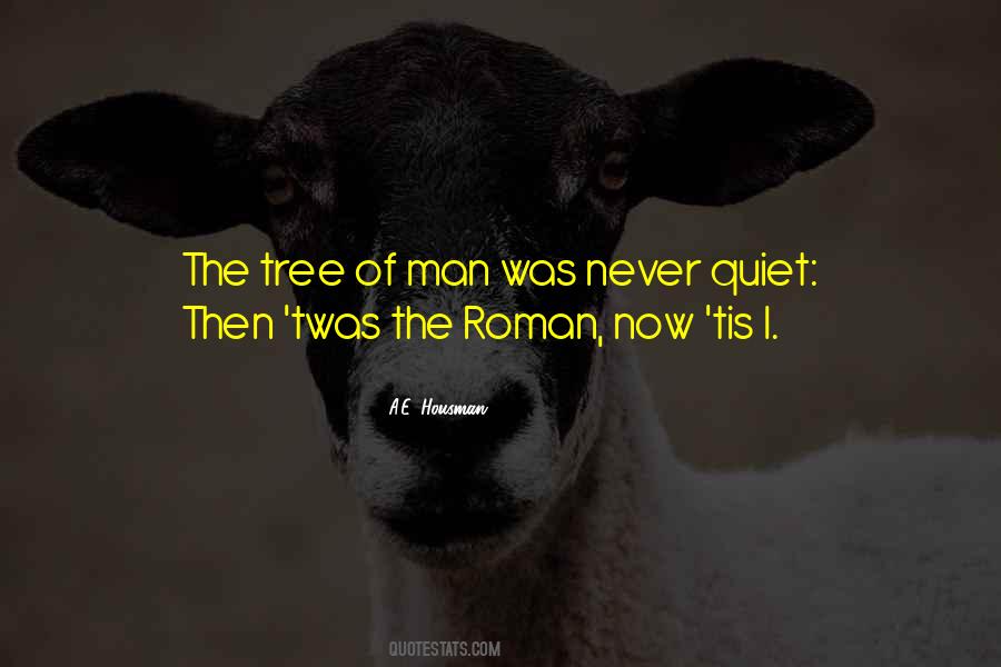 He Was A Quiet Man Quotes #599738