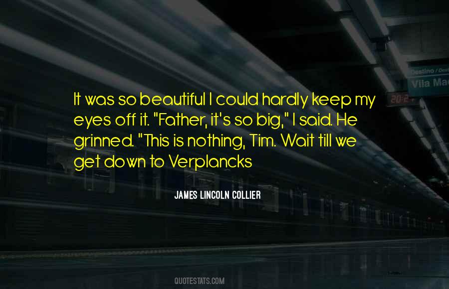 He Was Beautiful Quotes #117655