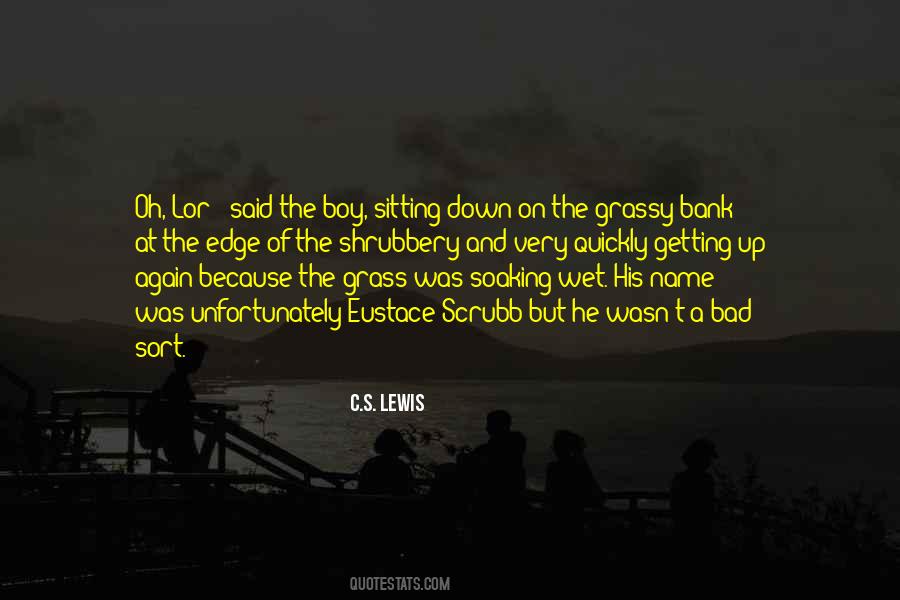 He's A Bad Boy Quotes #1139374