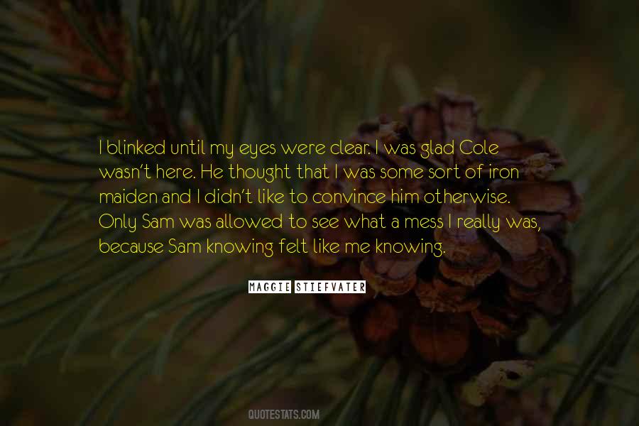 He's A Mess Quotes #212872