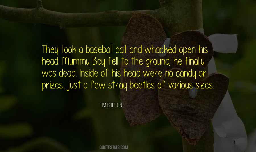 He's Just A Boy Quotes #672087