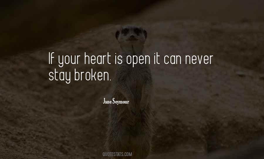 Heart Broken Open Quotes #1176170