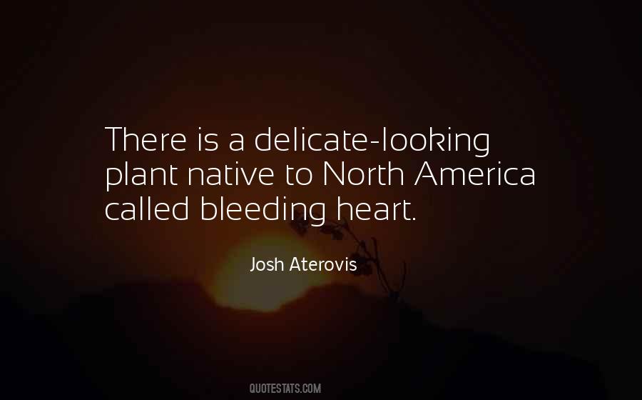 Heart Is Bleeding Quotes #1798836