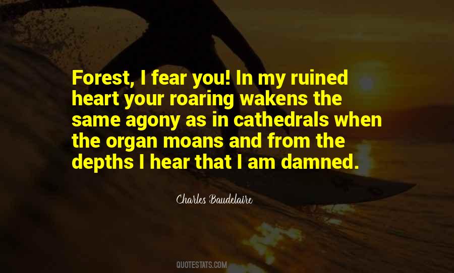 Heart Organ Quotes #943494