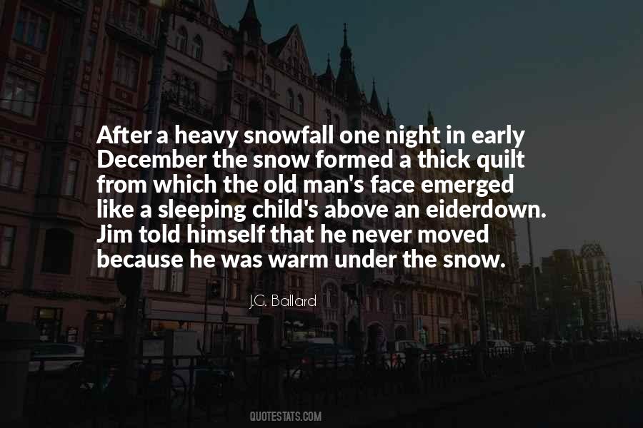 Heavy Snowfall Quotes #1190488