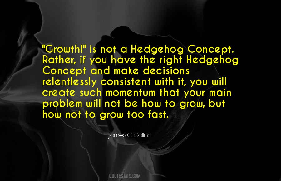 Hedgehog Quotes #1368748