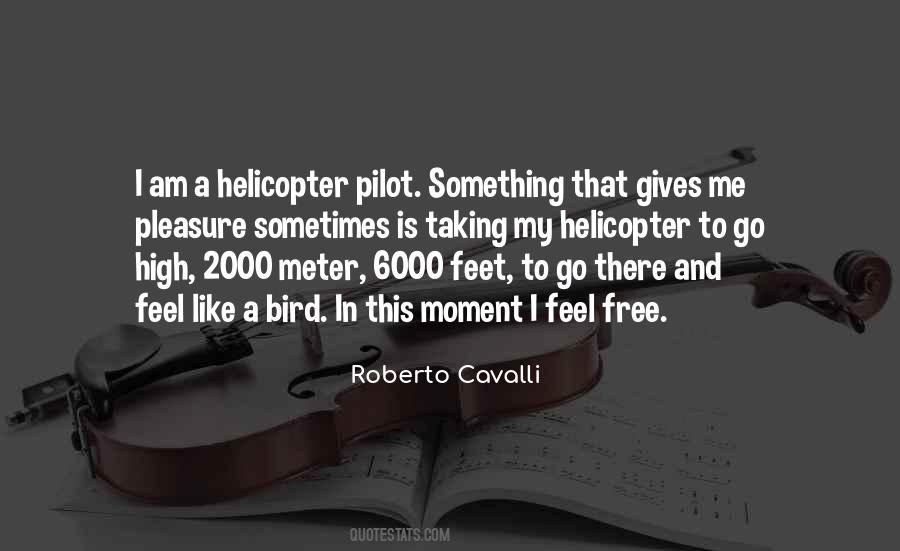 Helicopter Pilot Quotes #1332697
