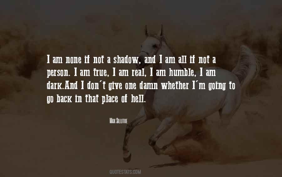 Hell And Back Again Quotes #66914