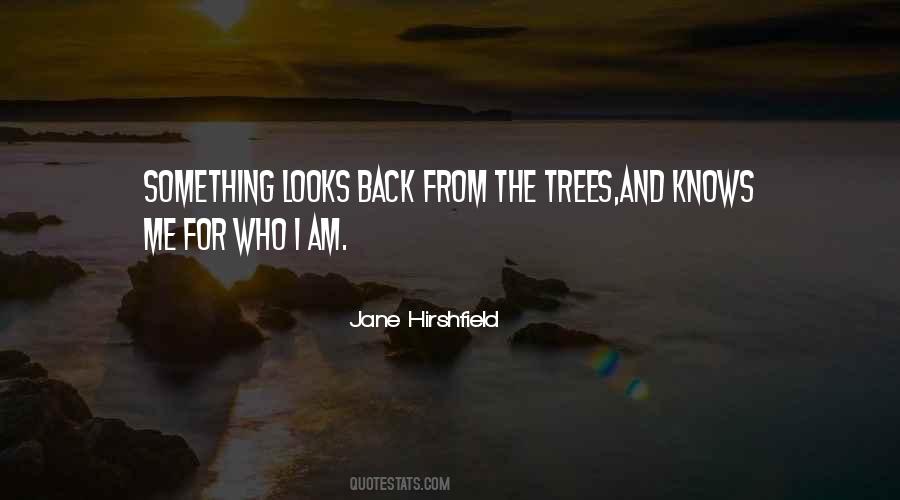 Hemingway Fly Fishing Quotes #1180243