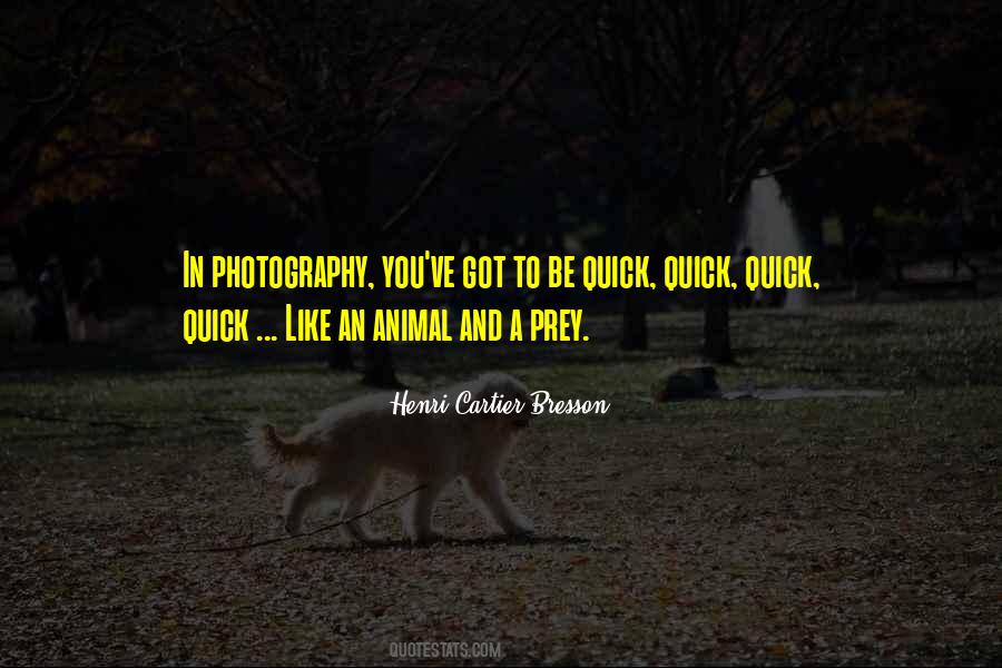 Henri Cartier Quotes #1437302