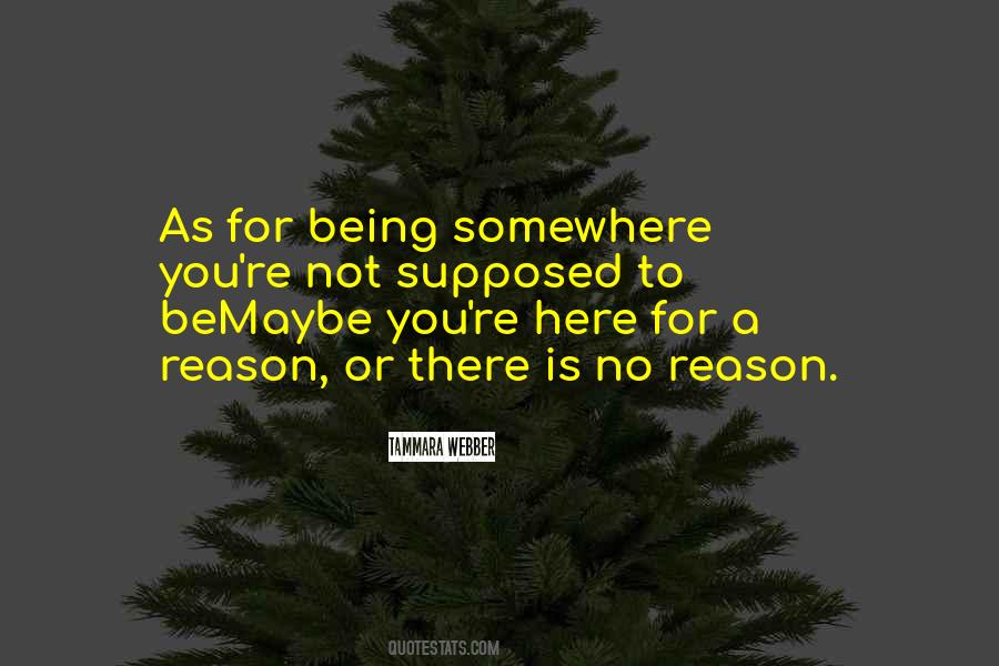 Here For A Reason Quotes #475582