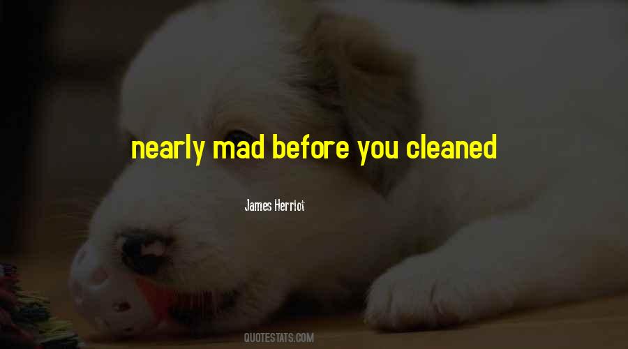 Herriot Quotes #1001003