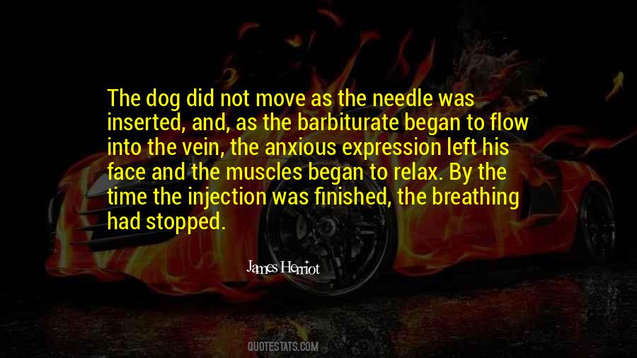 Herriot Quotes #1377261