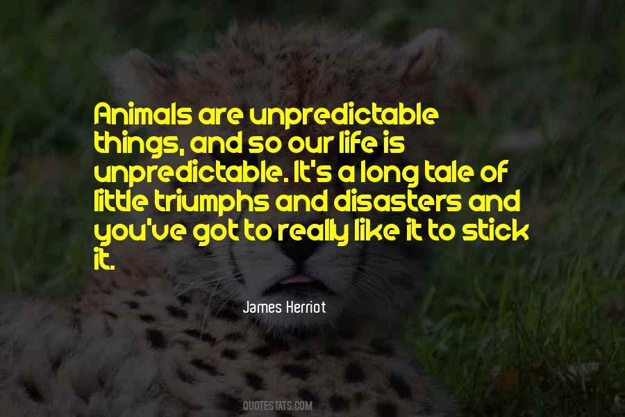 Herriot Quotes #872335
