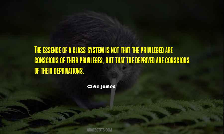 Quotes About The Class System #1738327