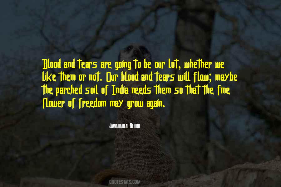 Quotes About Freedom Of India #67074 Quotes About Freedom Of India #67074