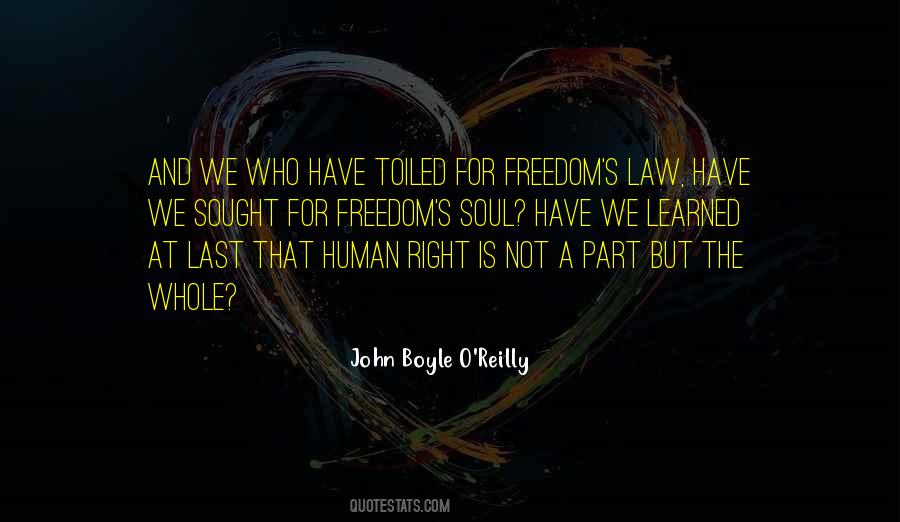 Quotes About Freedom And Human Rights #831115
