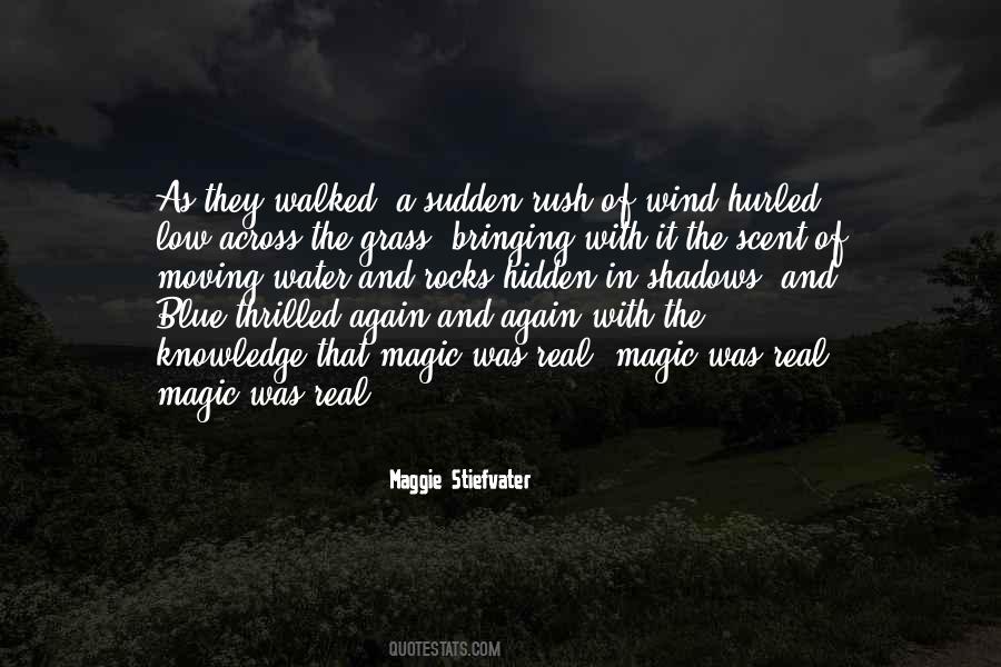 Hidden In The Shadows Quotes #1491978