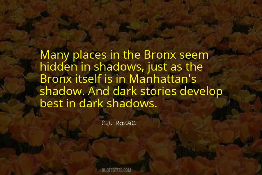 Hidden In The Shadows Quotes #377515