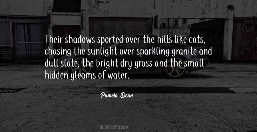 Hidden In The Shadows Quotes #419414