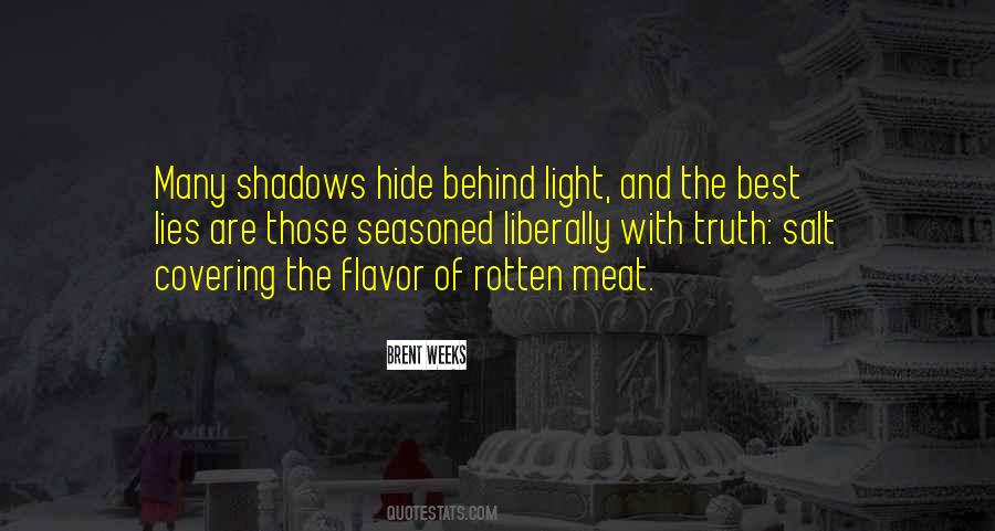 Hide In The Shadows Quotes #879600