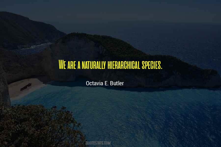 Hierarchical Quotes #1108504