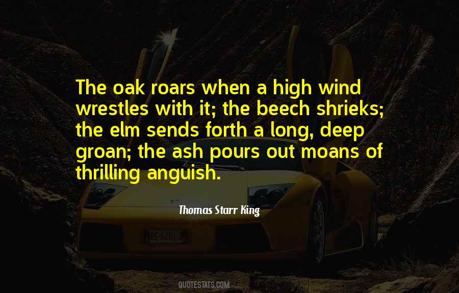 High Wind Quotes #170719