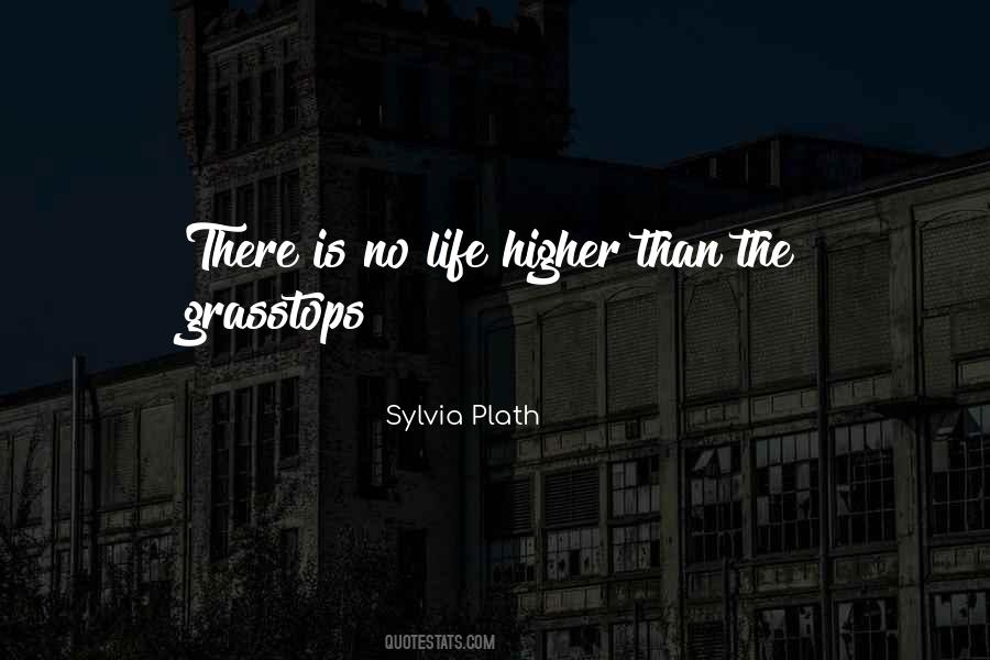 Higher Than Life Quotes #240426