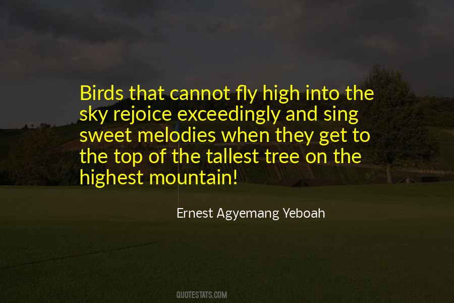 Highest Mountain Quotes #207134