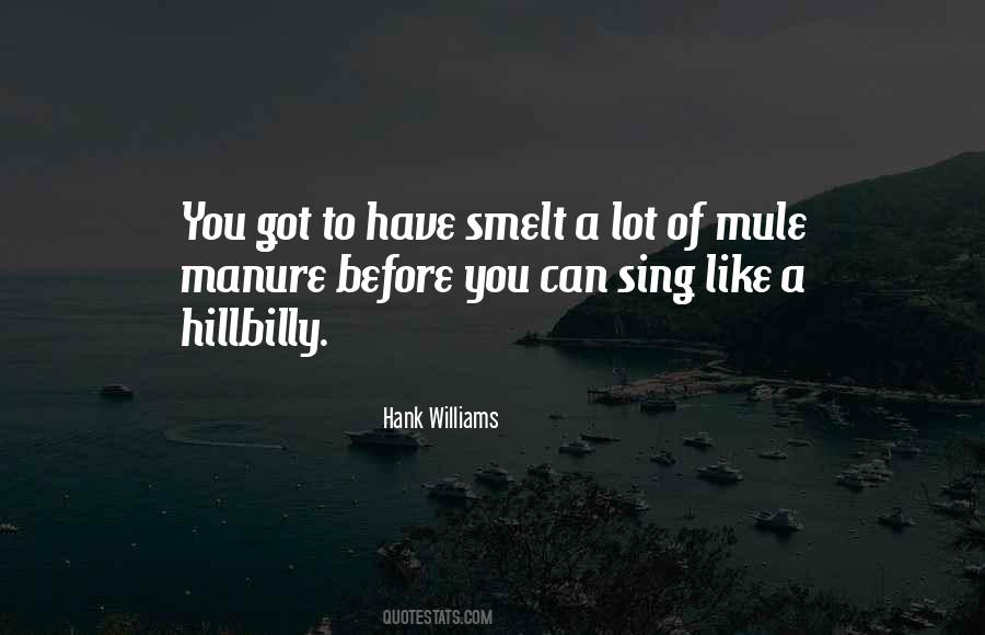 Hillbilly Quotes #988395
