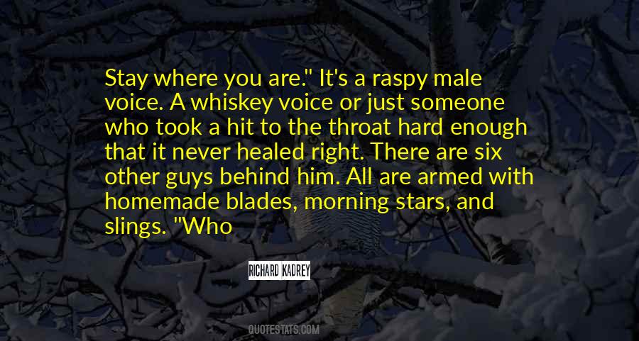 Hit Hard Quotes #221270