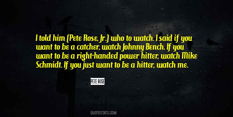 Hitter Quotes #1152858