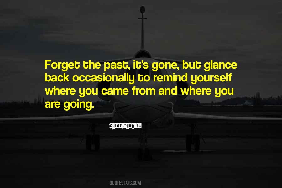 Quotes About Forget The Past #60216