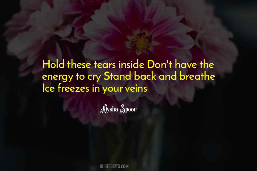 Hold Back The Tears Quotes #1554699