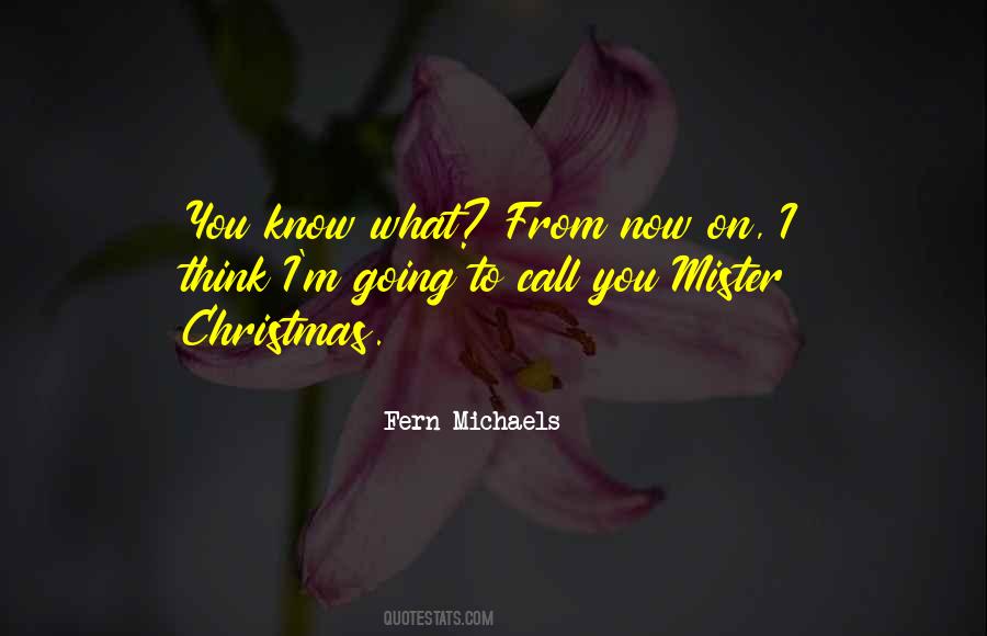 Quotes About The Christmas Holiday #680502