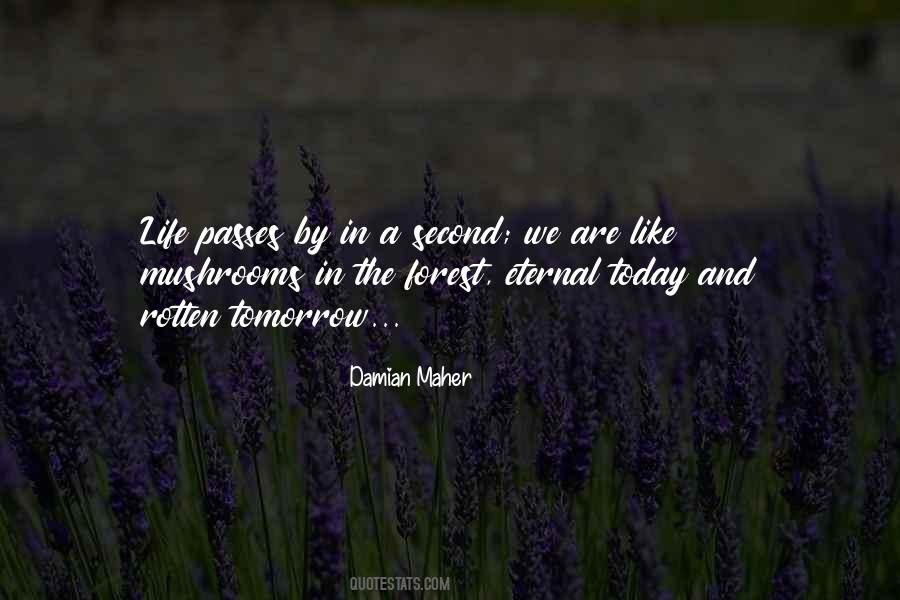 Quotes About Forest Life #1362531