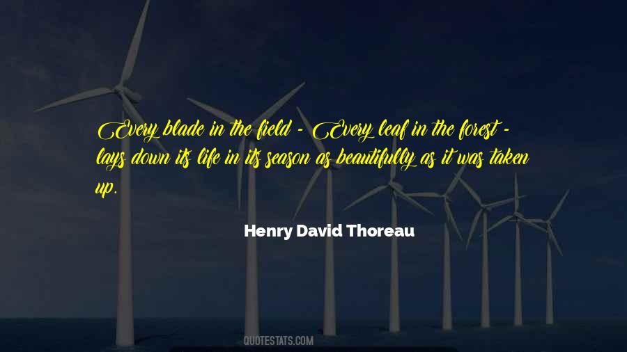 Quotes About Forest Life #1404000