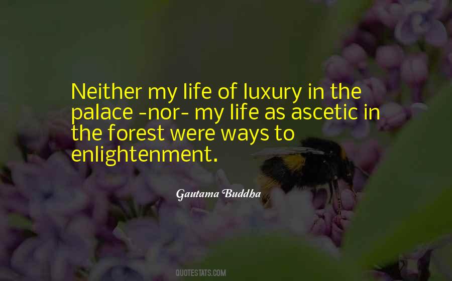 Quotes About Forest Life #174868