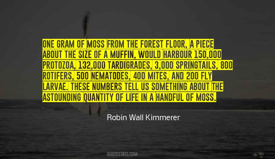 Quotes About Forest Life #391186