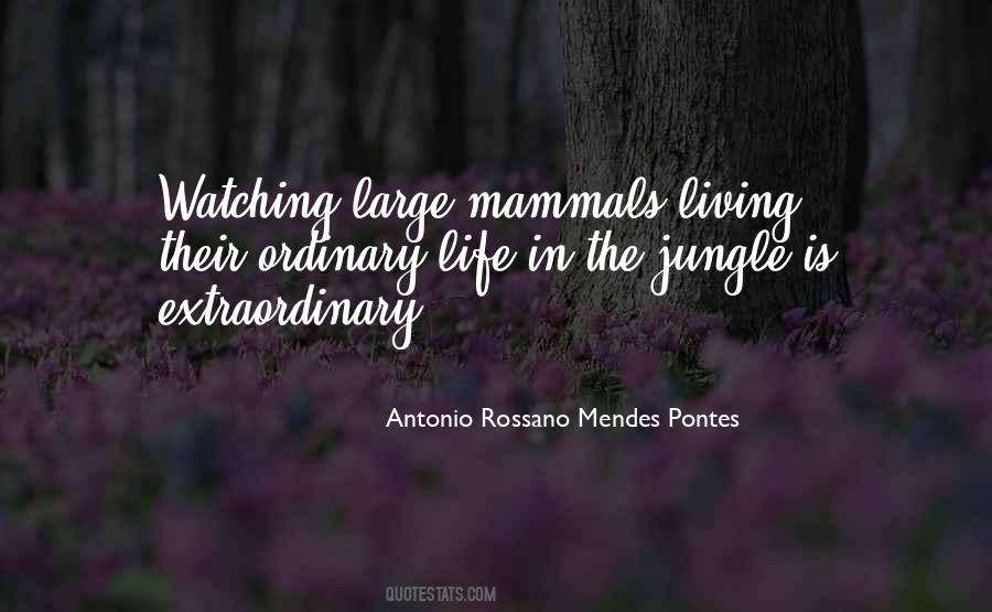Quotes About Forest Life #77813