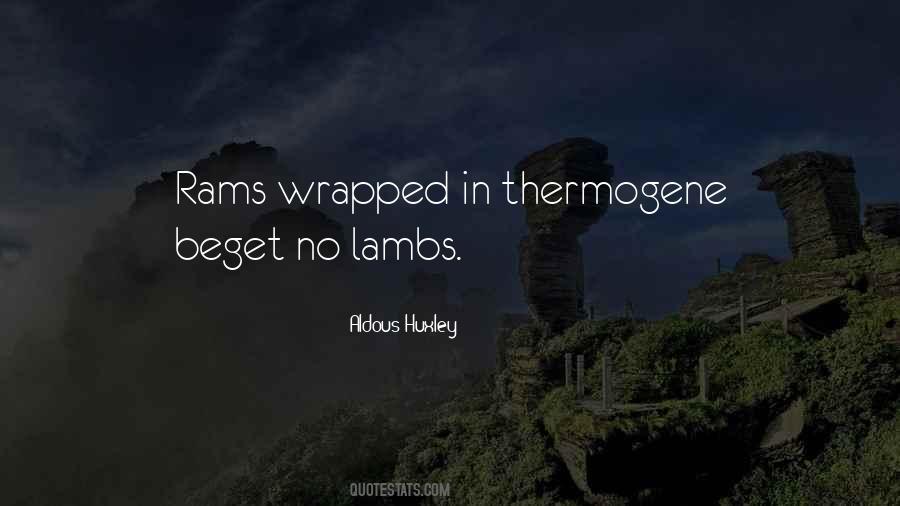 Holy Roller Quotes #766308