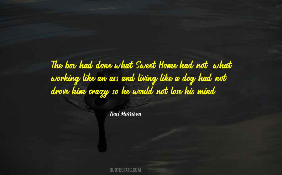 Home Sweet Home Quotes #934745