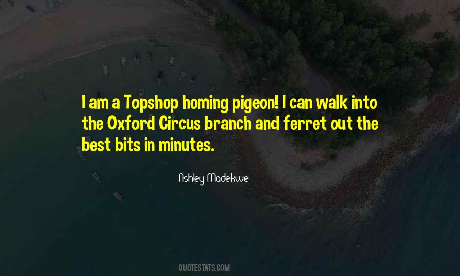 Homing Pigeon Quotes #1665030