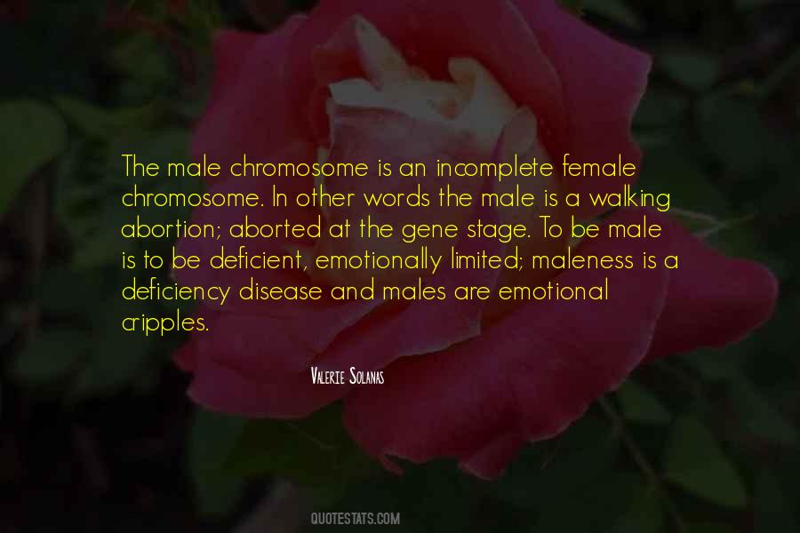 Homura Madoka Quotes #242078